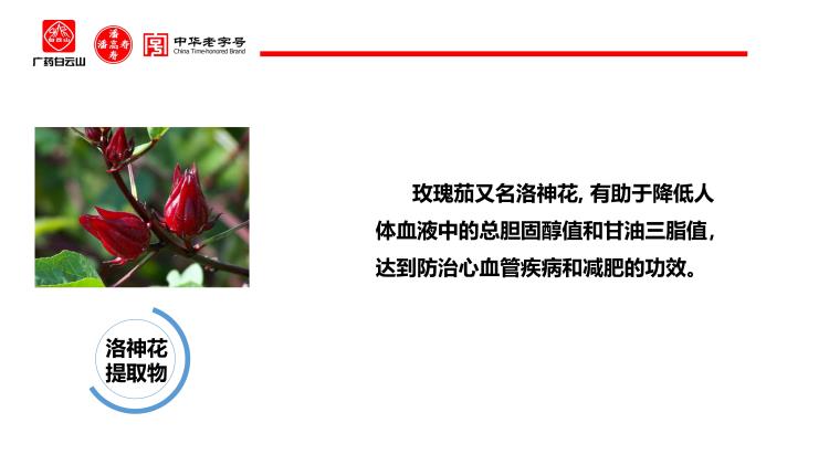 瘦伊点洛神花软糖 吃成百万富翁，瘦成闪电