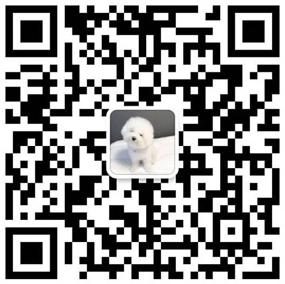  复刻奢侈品包包微商厂家直销一手货源招代理二维码