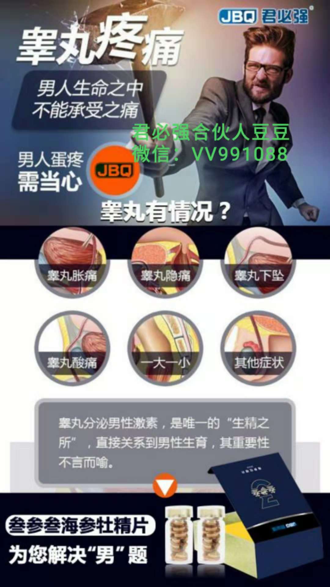 君必强叁参叁海参牡精片总部联系方式是多少？海参牡精片怎么批发