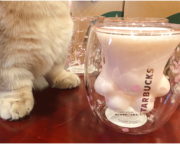 星巴克猫爪杯厂家货源【爆款】诚招代理