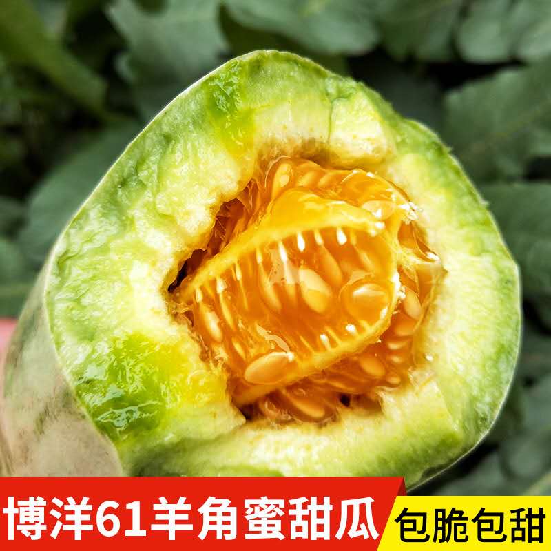 微商水果，全网低价服务贴心，长期招收代理