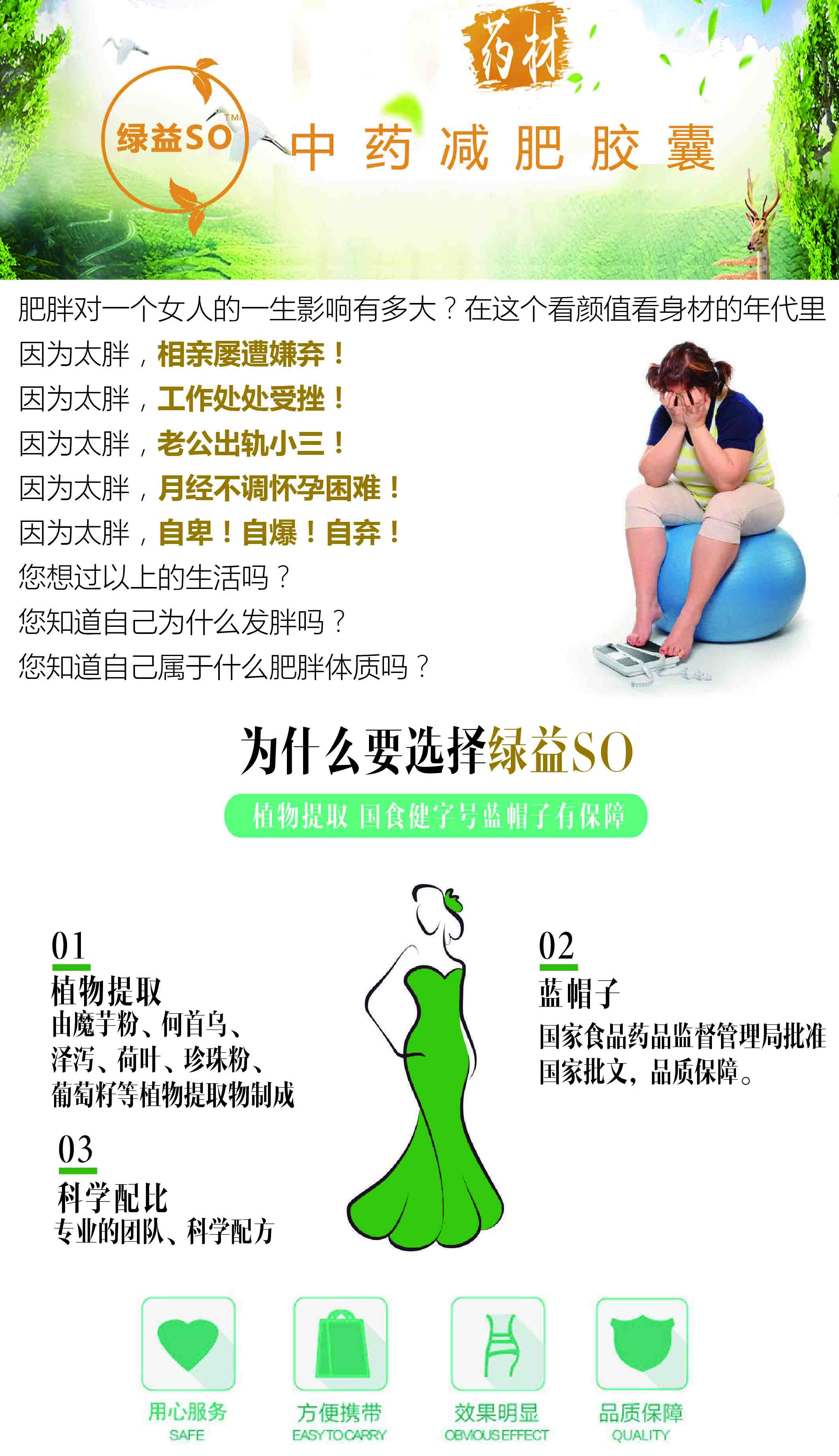 绿益SO清源胶囊 纯中药减肥 厂家直供