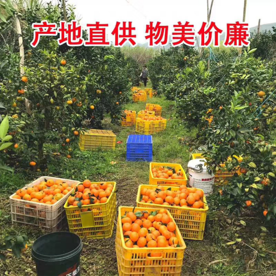 极果物语：一件代发的水果利润，你可能从未想象的到