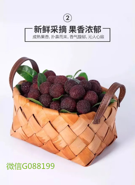 杨梅一件代发 果园一手货源 稳定供应