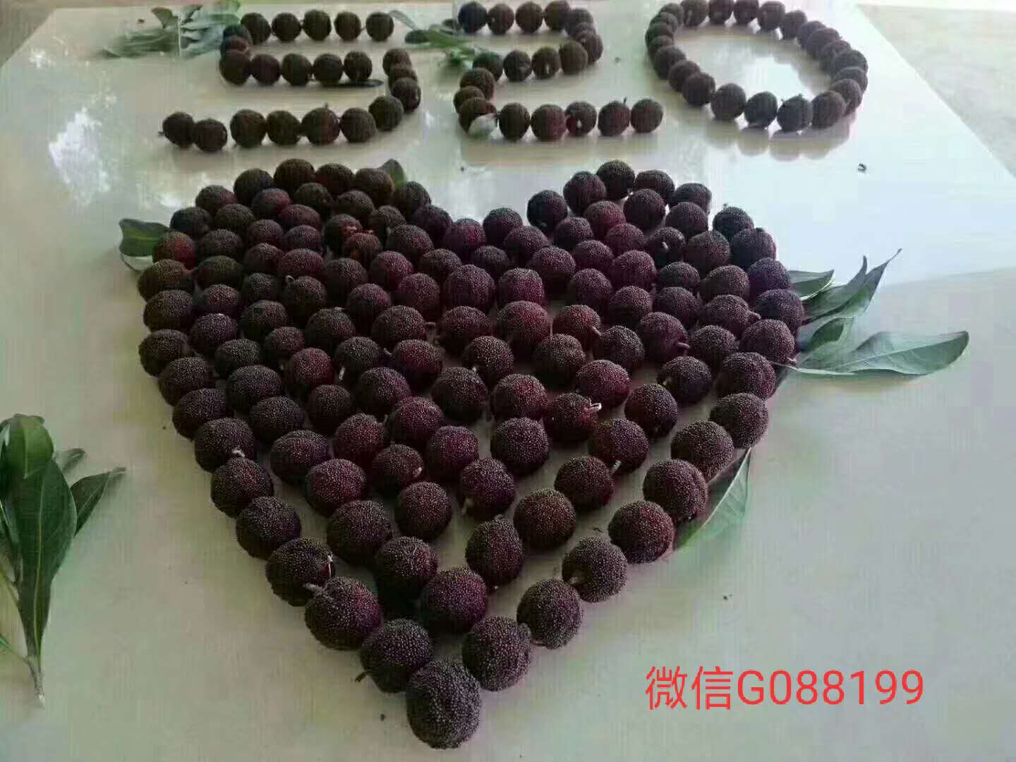 杨梅一件代发 果园一手货源 稳定供应
