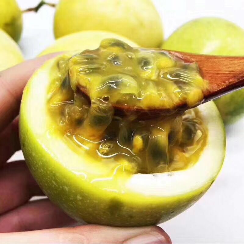 海南热带水果长期招一级代理