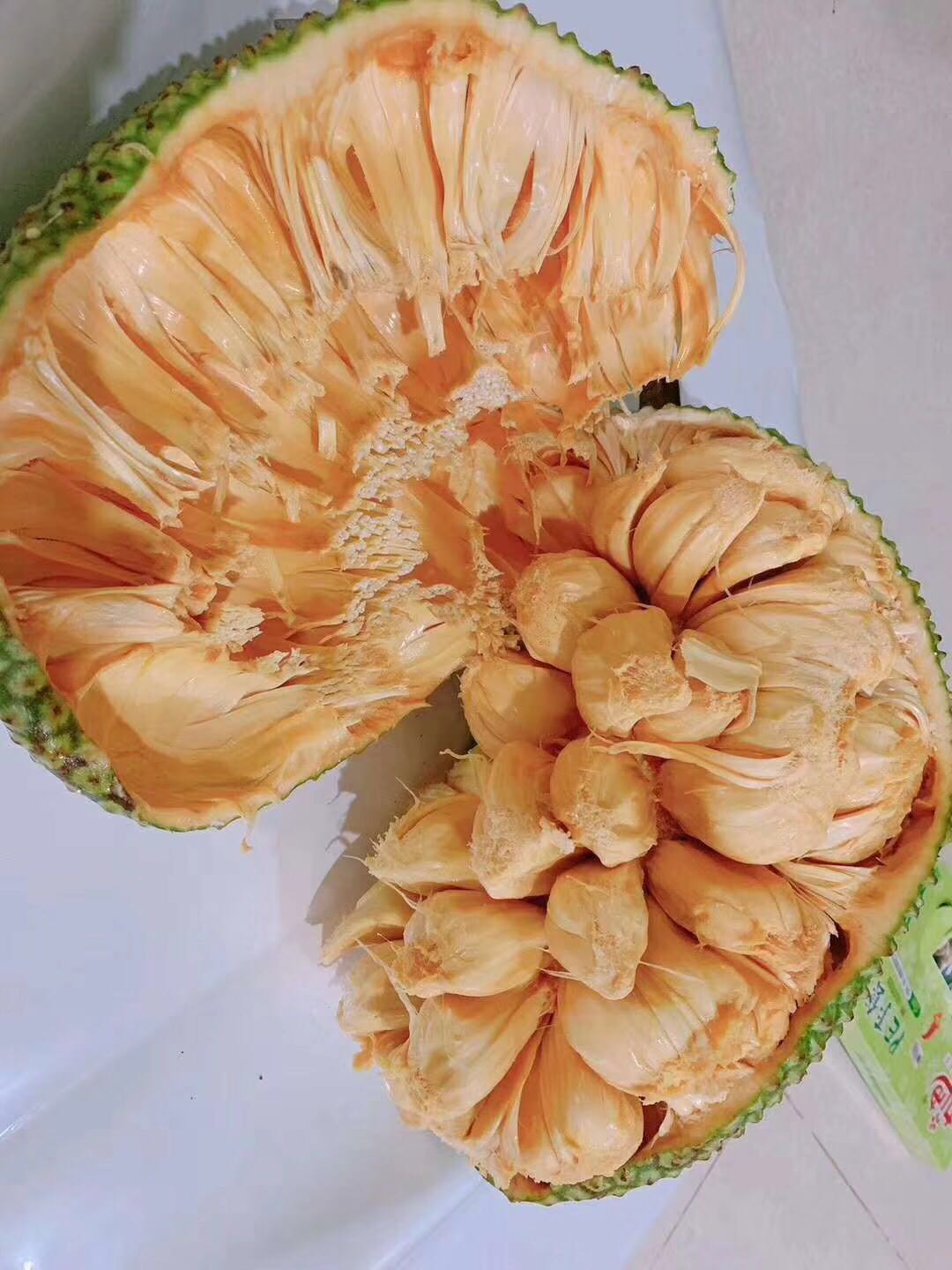 海南热带水果长期招一级代理
