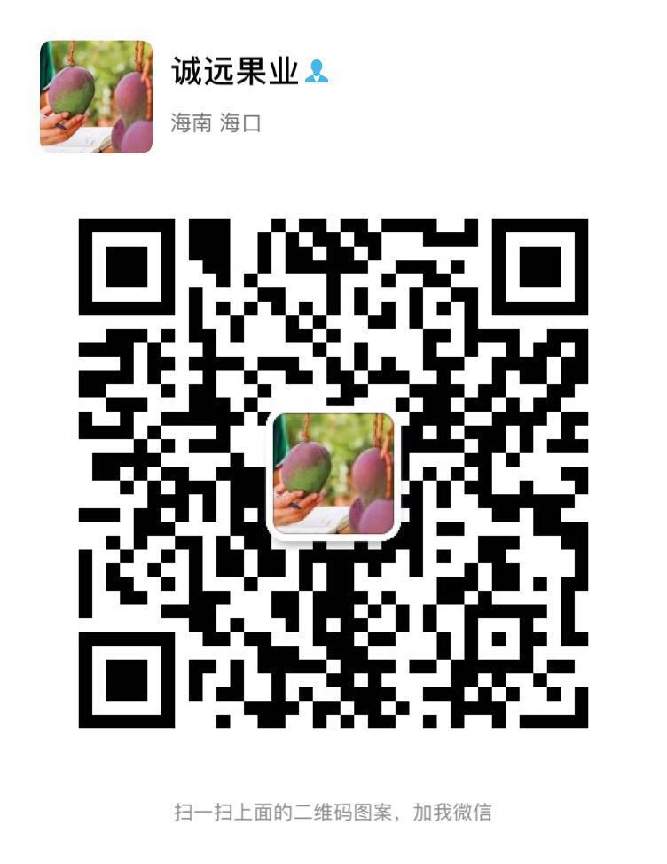 海南热带水果长期招一级代理二维码