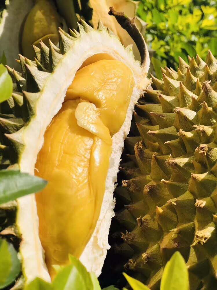 电商微商水果货源 产地直发 支持一件代发