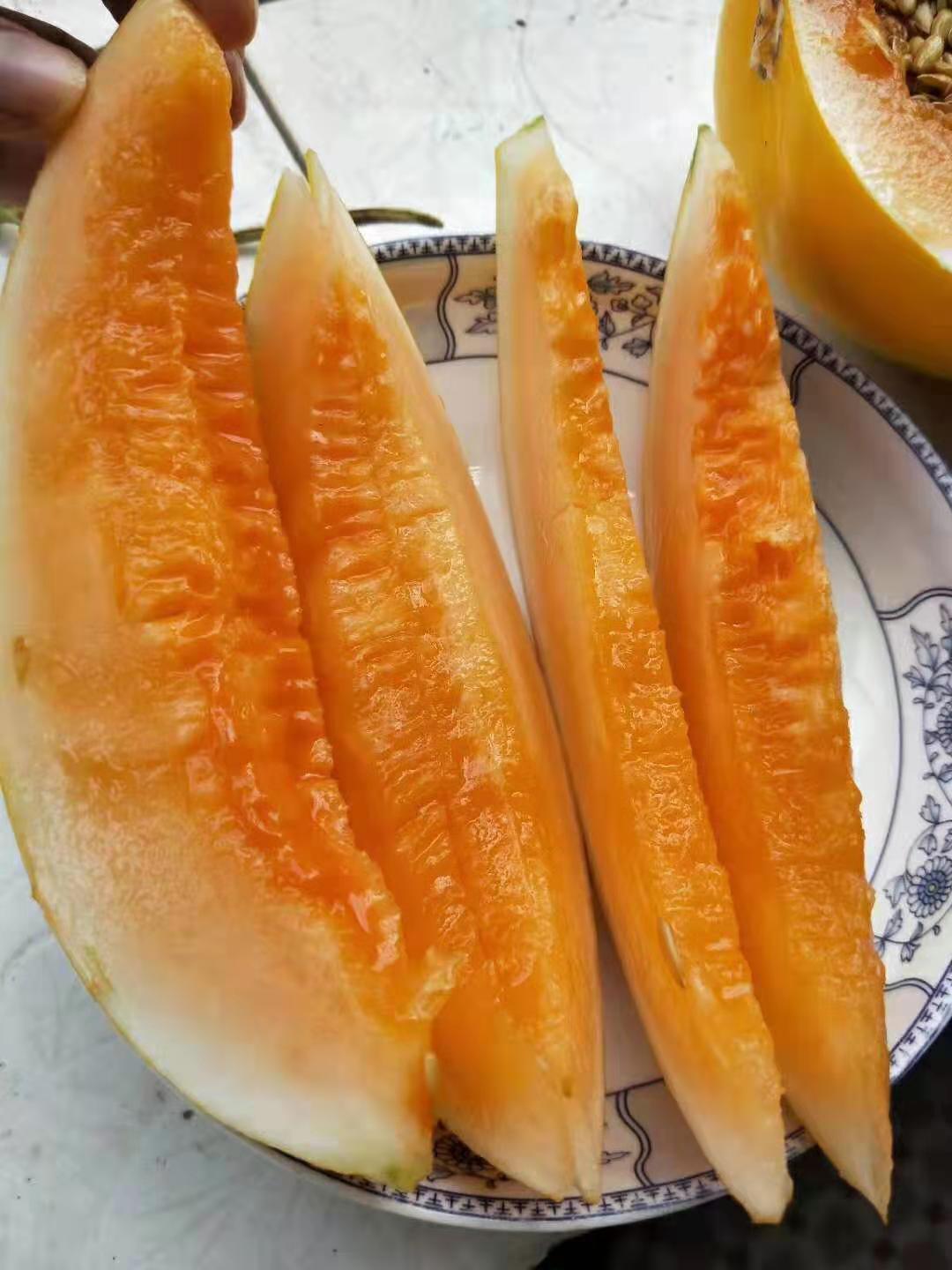 原生态水果诚招全国代理