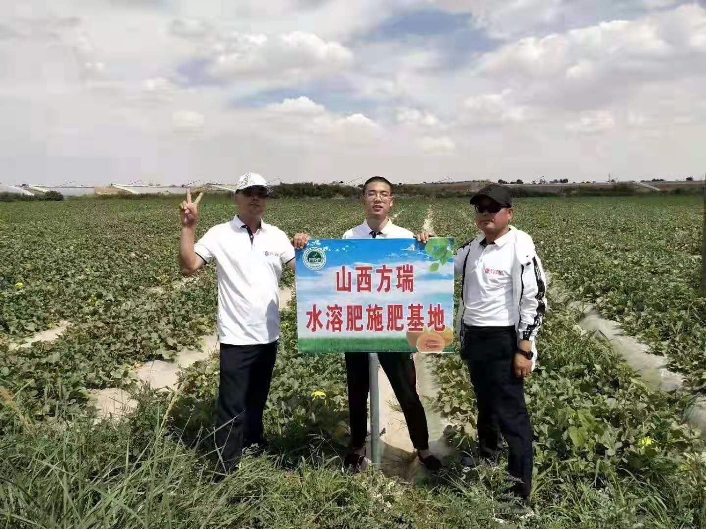 原生态水果诚招全国代理