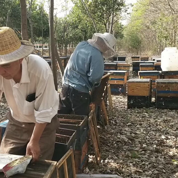 自产自销各类蜂制品，第一手货源，诚招代理商