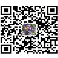 乔丹专柜主推款！莆田鞋工厂直销，只做高端专柜级别，寻平台实体店合作二维码