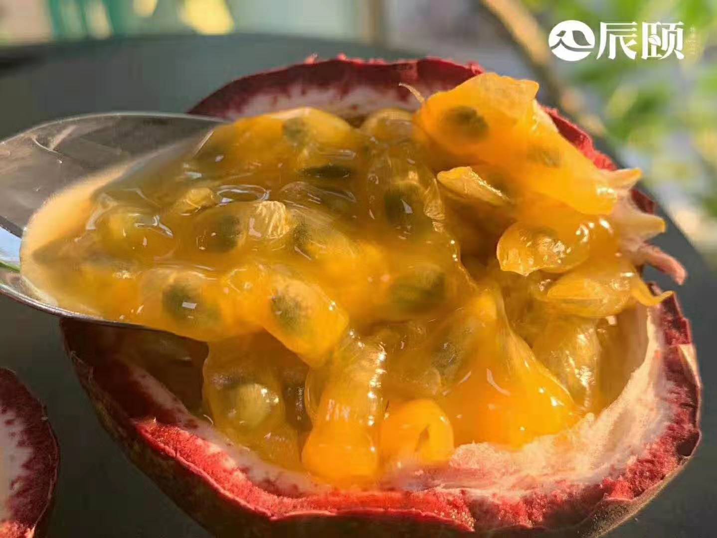 时令水果干果货源  摘下就发货 不催熟 不泡药 没有冻库货