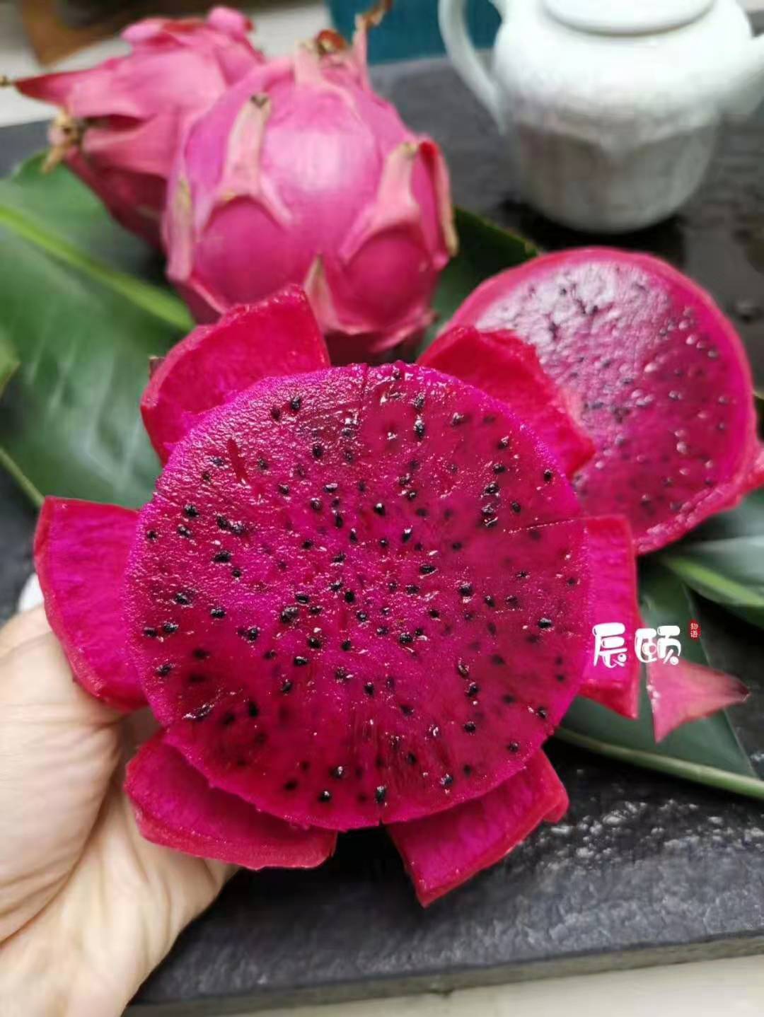 时令水果干果货源  摘下就发货 不催熟 不泡药 没有冻库货