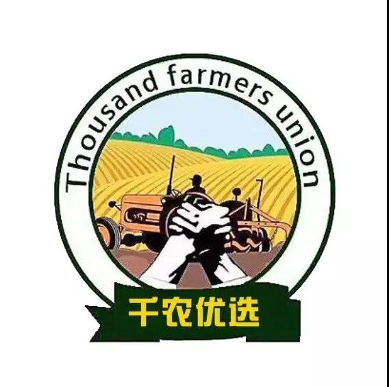 全国生鲜水果代理 一起创造自己的副业或主业