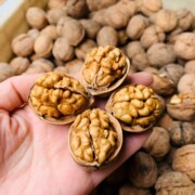 水果零食一手货源 果园直发 基地直发 招代理 免费代理