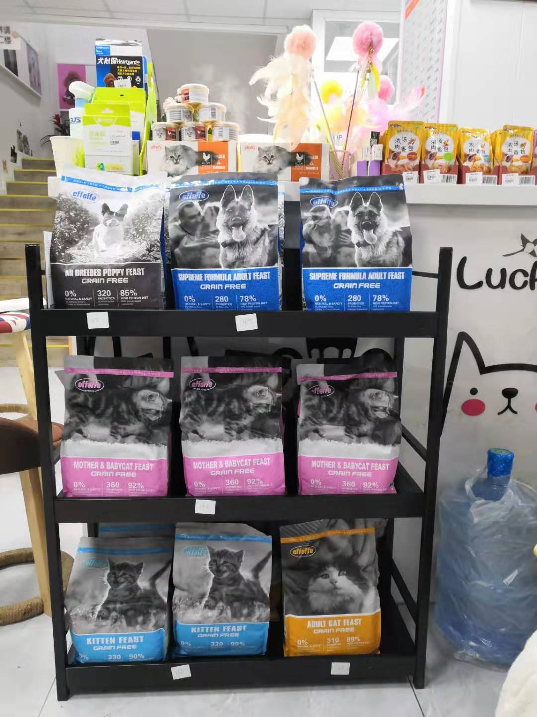 进口猫狗粮 一件代发！