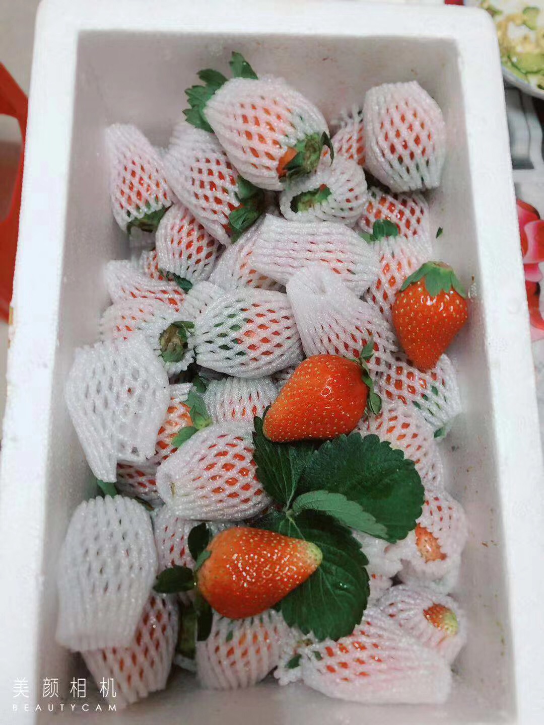 水果免费代理，现摘现发，提供一件代发，代理价格低，品质好，售后好