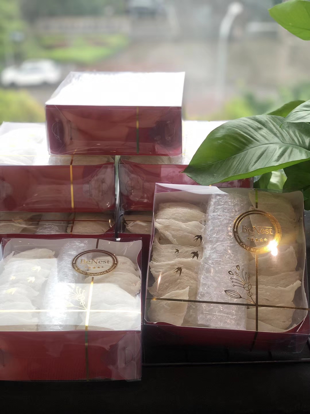 新加坡燕窝批发商一手货源 100%纯天然有保障的燕窝