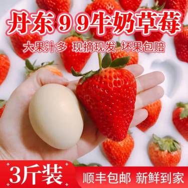 海南贵妃芒，果园一件代发，诚邀代理加盟！