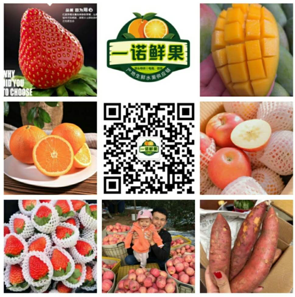 微商水果代理，水果一件代发 果园基地产地直发二维码