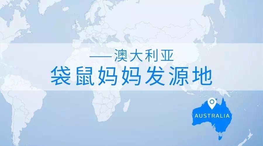 袋鼠妈妈微商招募代理，一件代发，无需囤货