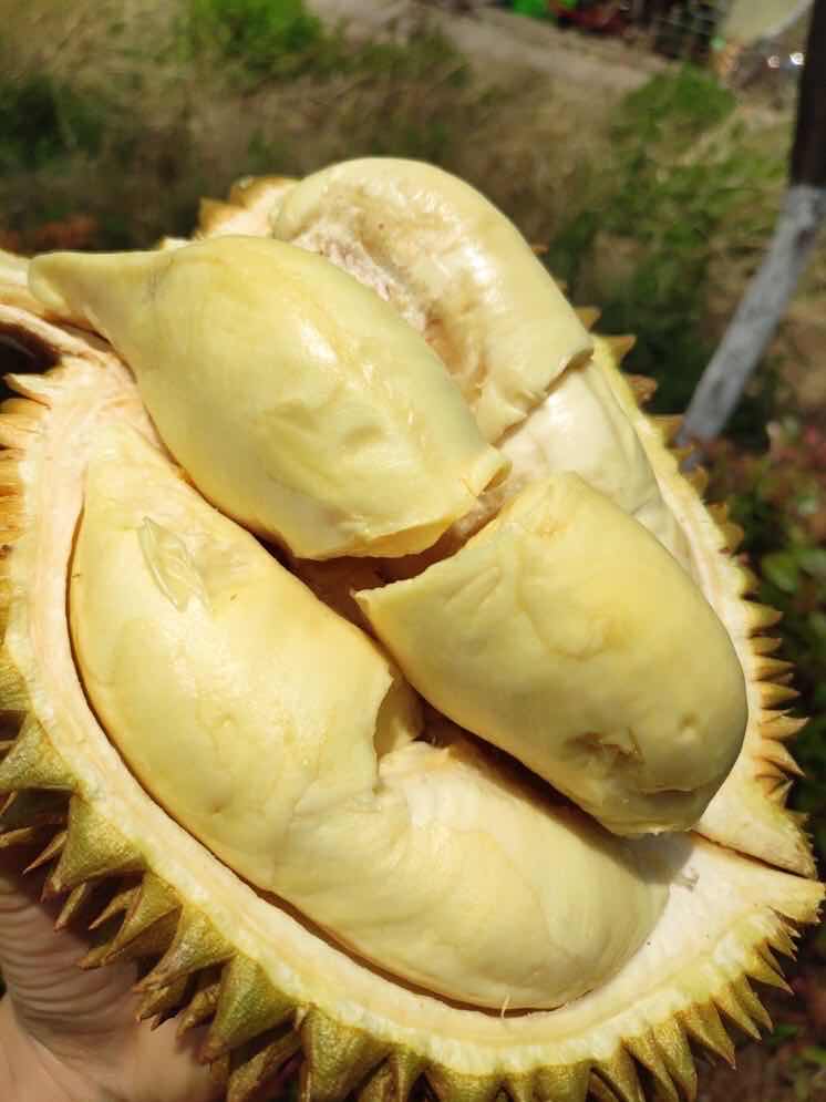 全网最大的网红零食货源 一件代发 一对一培训