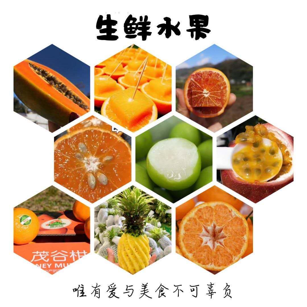 免费招代理 一手货源最全网红美食水果
