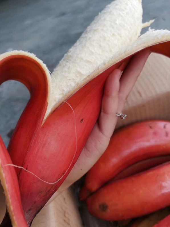 网红零食厂家 一件代发 诚招代理