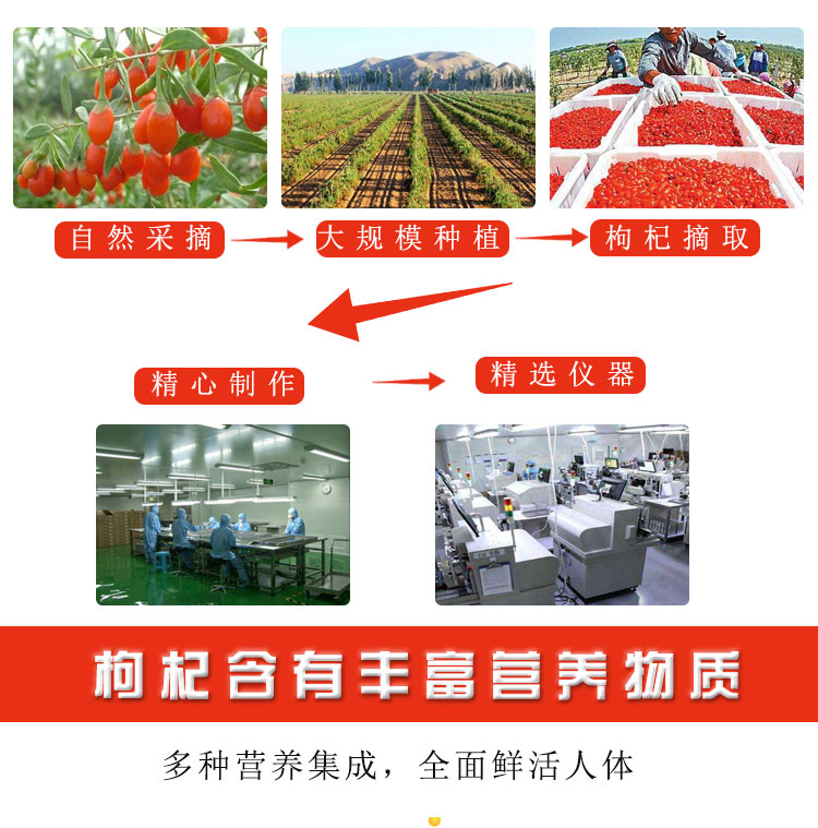 枸杞原浆加工生产厂家 代理批发