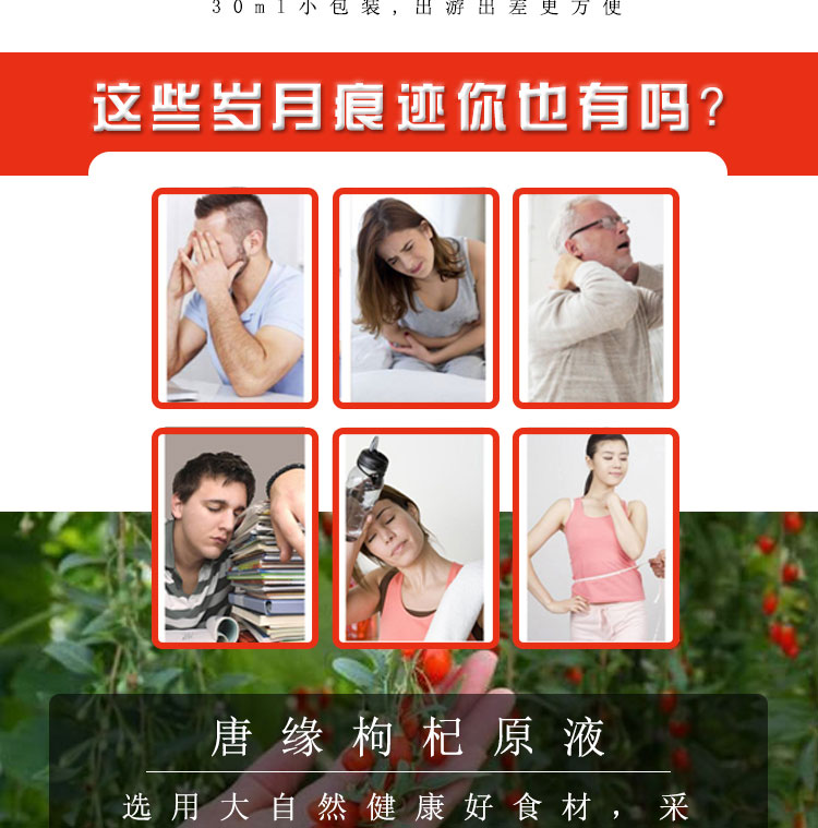 枸杞原浆加工生产厂家 代理批发