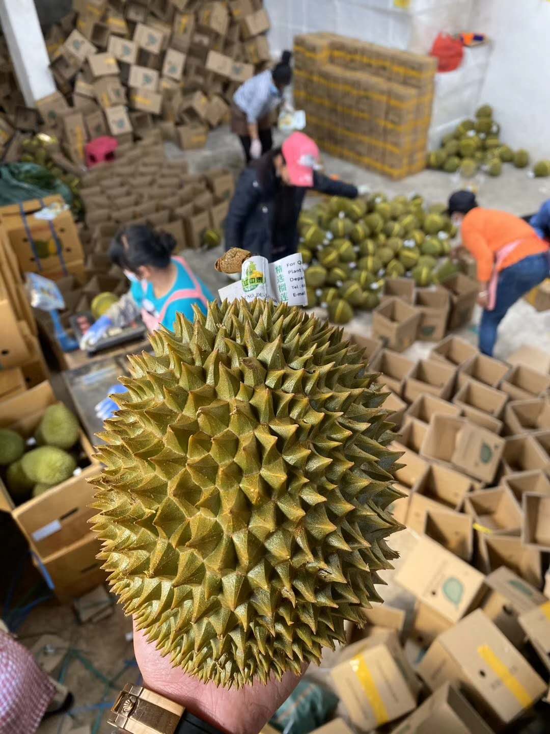 微商，社群水果货源，一件代发，包邮包售后
