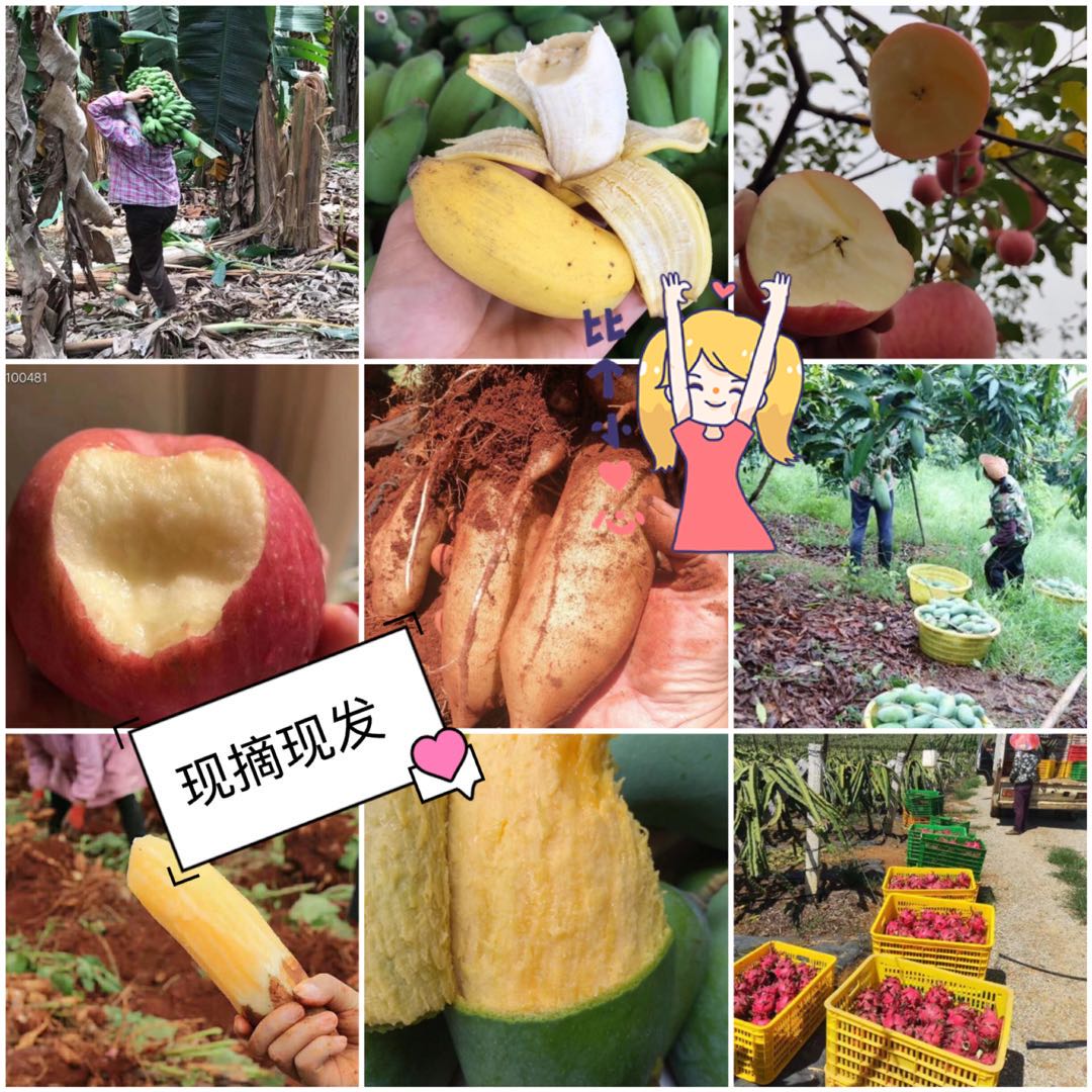 无添加麻辣小吃，千层蛋糕，各种网红零食诚招代理加盟，全国一件代发