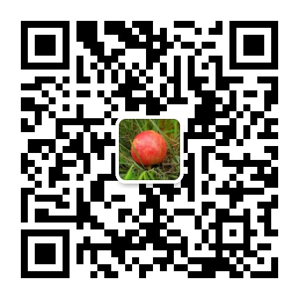 水果代理微商一件代发，微商水果产地直发货源二维码