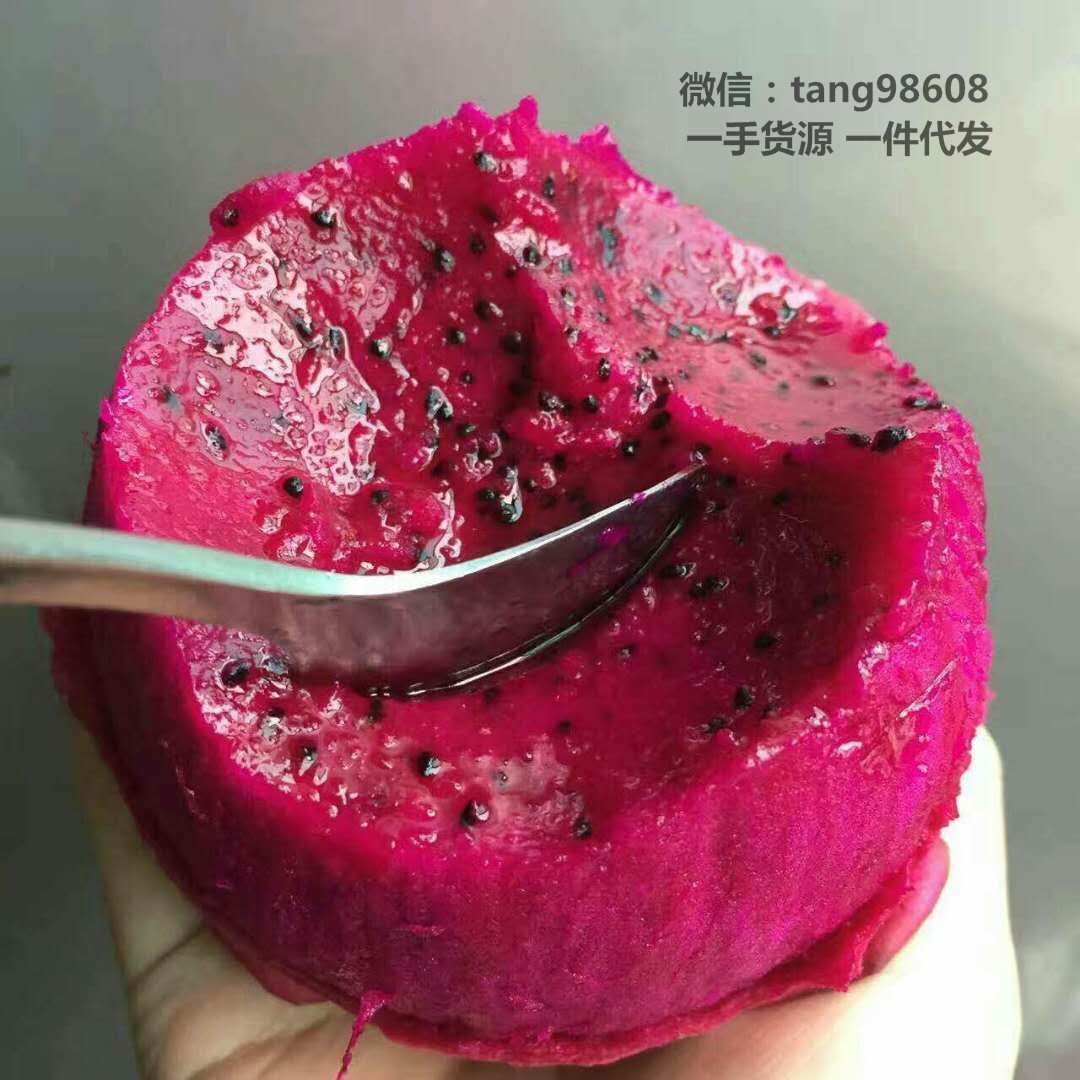 水果微商货源 原产地果园直发 突尼斯软籽