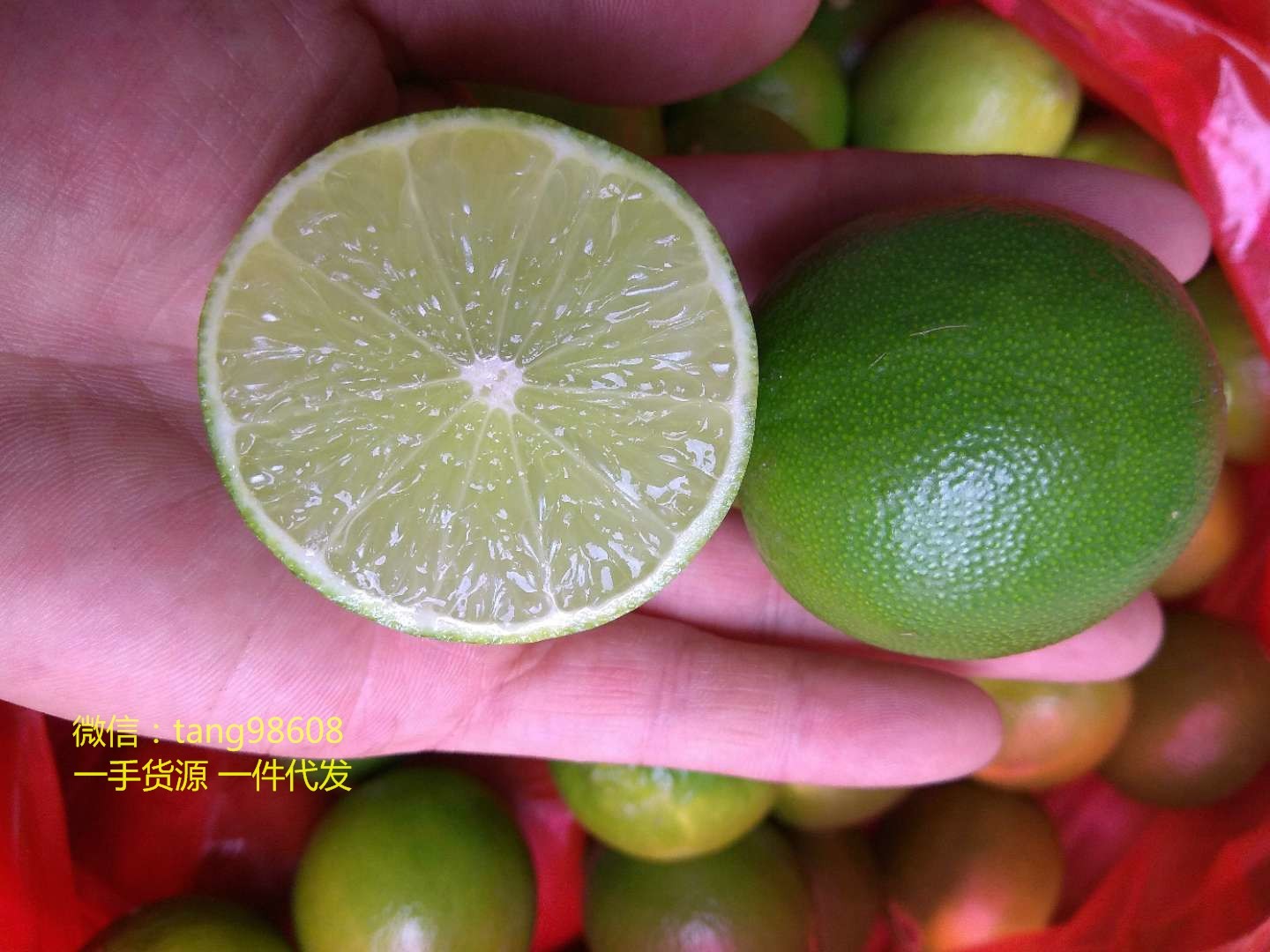 水果微商货源 原产地果园直发 突尼斯软籽