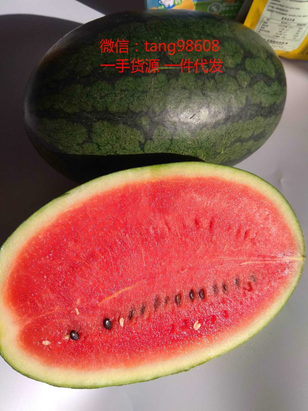 水果微商货源 原产地果园直发 突尼斯软籽