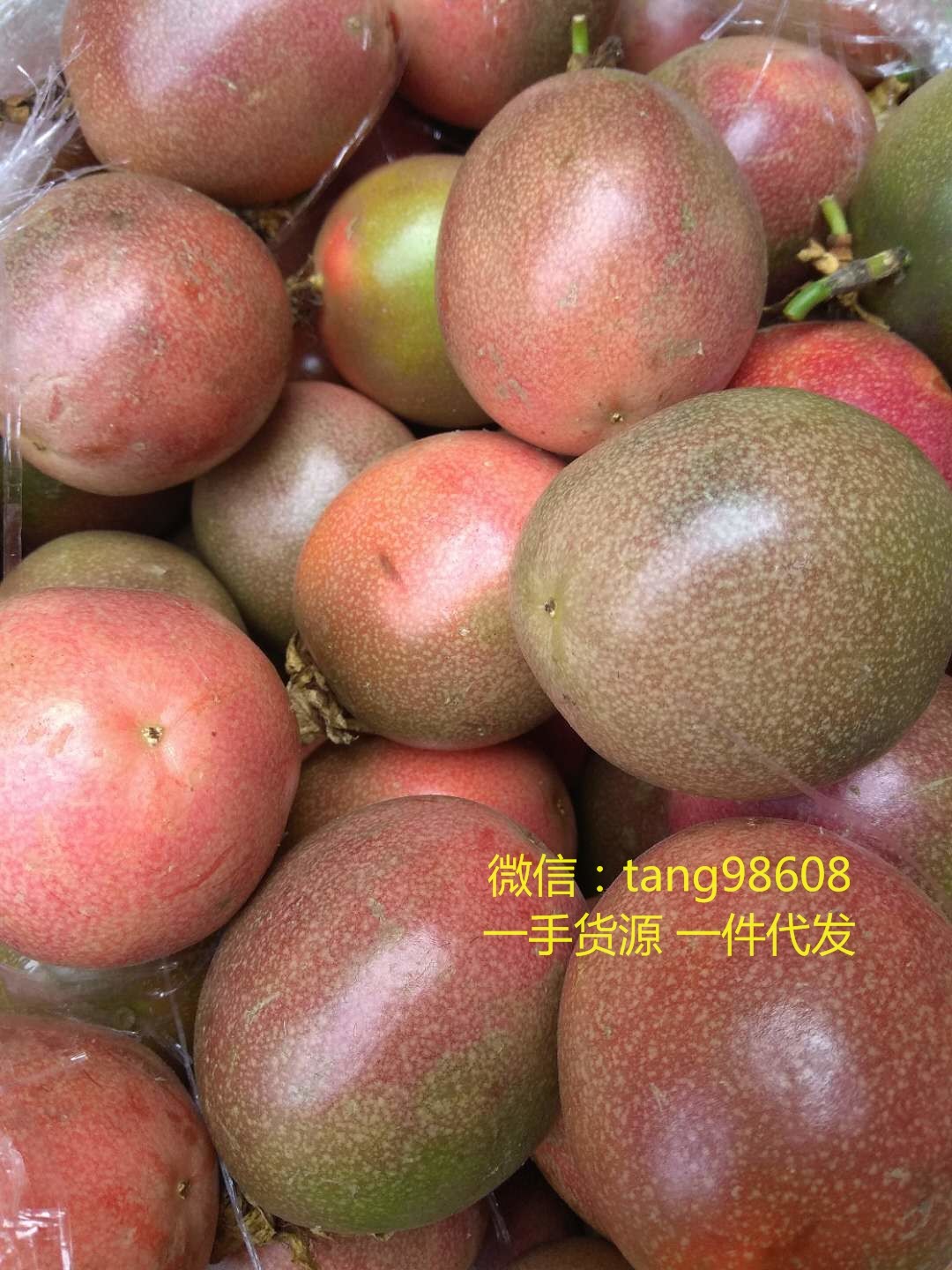 水果微商货源 原产地果园直发 突尼斯软籽