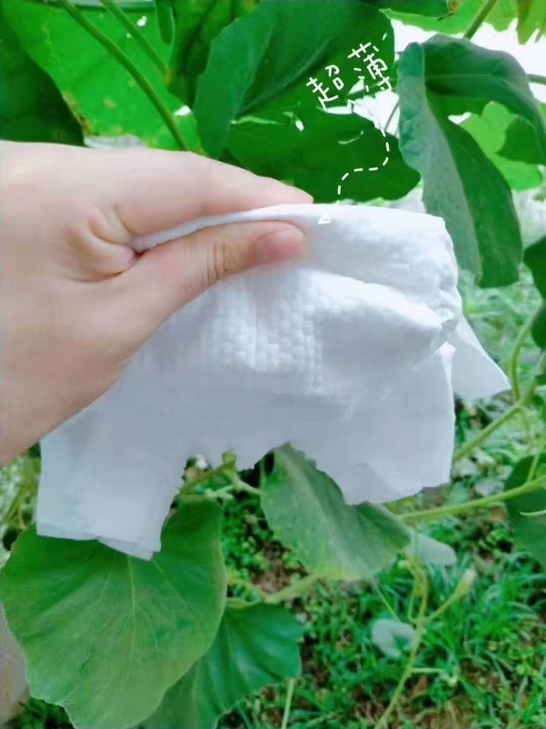 蓓趣医护级纸尿裤大揭秘！做代理拿货价格贵不贵？