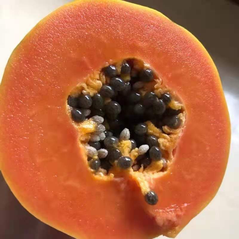  海南水果一件代发 批发 一手货源