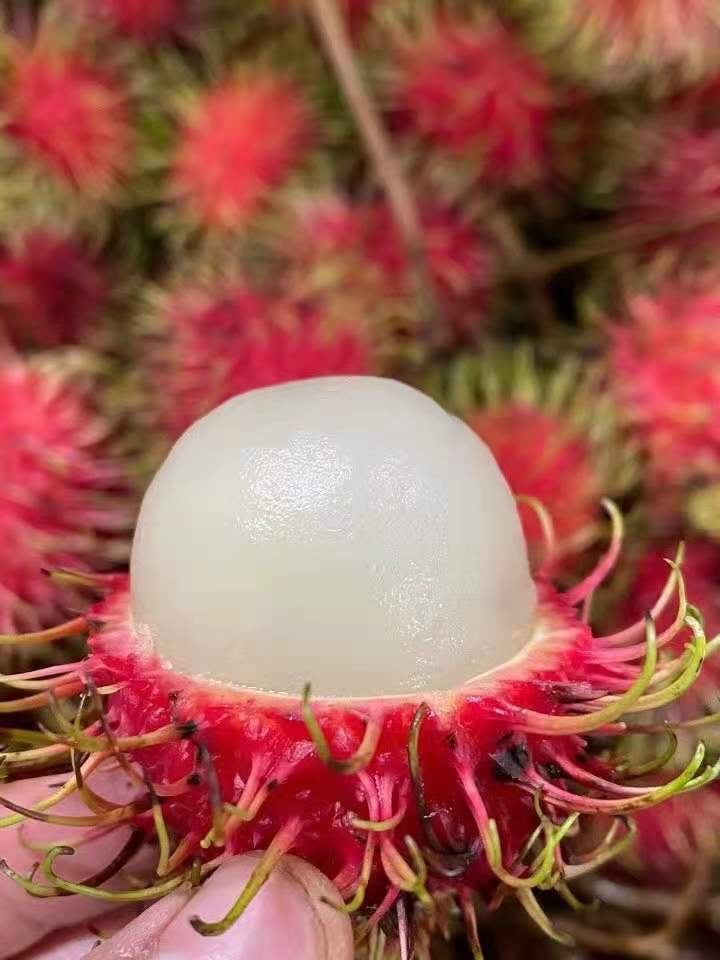  海南水果一件代发 批发 一手货源
