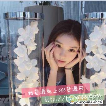 网红同款实力上家工厂直销一件代发
