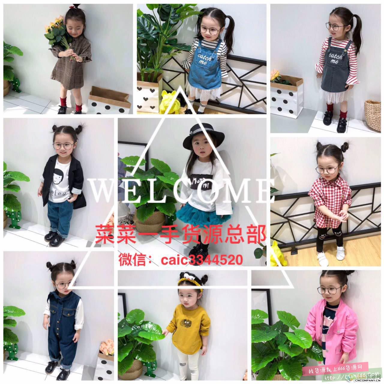 儿童玩具一手货源,费雪、伟易达、hape、品牌玩具代理加盟