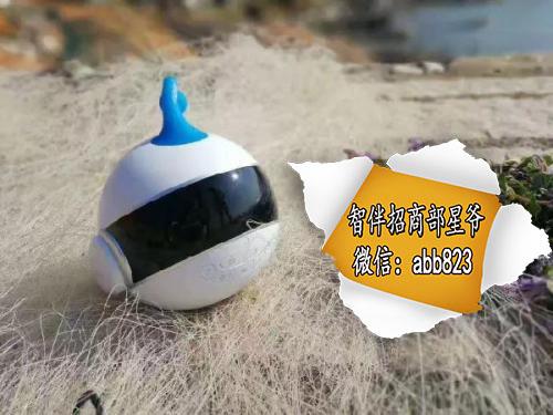 智伴机器人功能 智伴机器人四大功能解析，智伴机器人多少钱