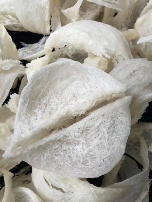 马来西亚大型燕窝工厂一手货源 纯天然燕窝 从源头上保障品质