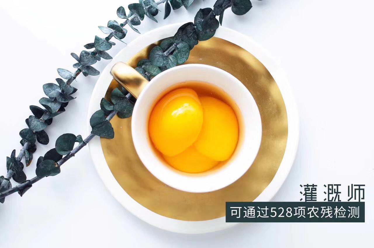 微商水果罐头货源 灌溉师水果罐头 诚招微商代理