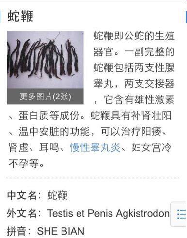 修正蛇鞭粉副作用 修正蛇鞭粉有什么副作用吗？