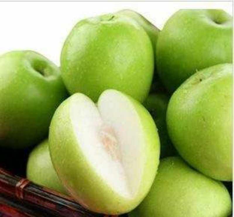 仪洁果园怎么代理？仪洁果园微商有什么优势 ?