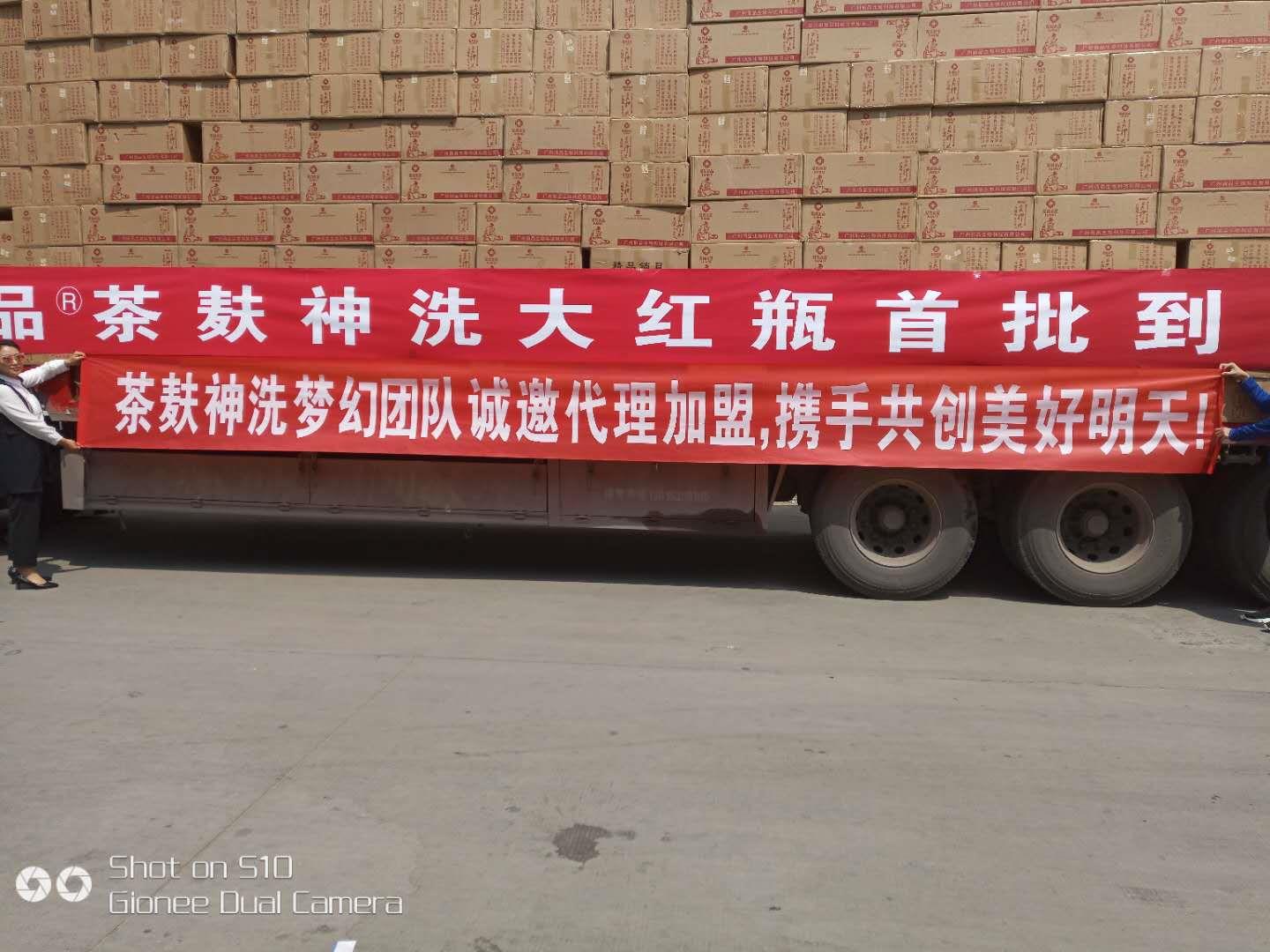 茶麸洗发水 茶麸神洗纯植物彩色洗发水十分钟上色